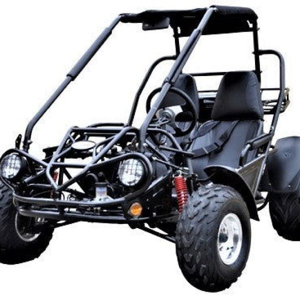 Trailmaster 200 XRS Go Kart CVT Auto with Reverse ADULT- Number One Go kart Nationwide