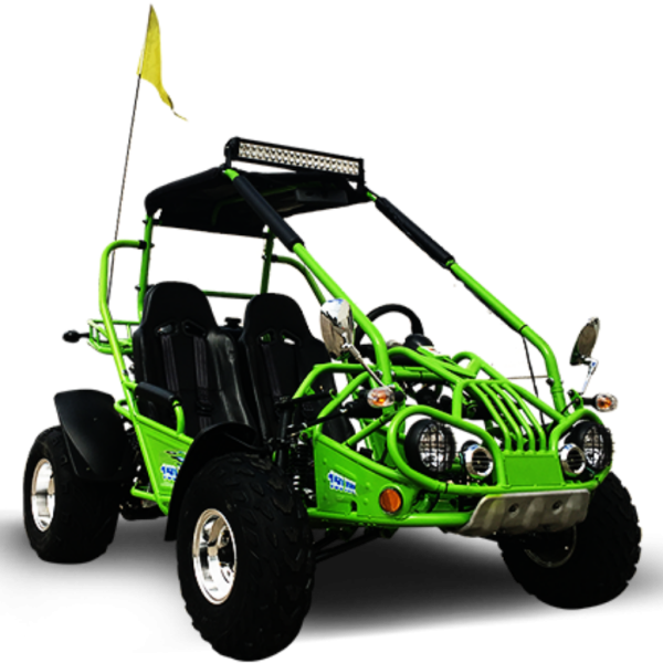 TrailMaster 200 XRX Deluxe Buggy Go Kart, Alloy Wheels, Lights, Turn Signals