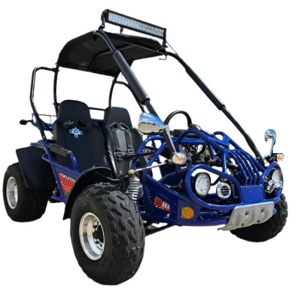 TrailMaster 200 XRX Deluxe Buggy Go Kart, Alloy Wheels, Lights, Turn Signals