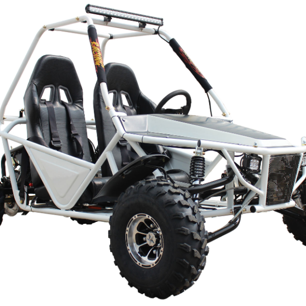 Batman 200 DLX Buggy Go Kart, Electric Start, Automatic with Reverse, 10-inch Alloy Wheels, Ages 16 and up