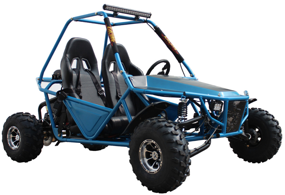 Batman 200 DLX Buggy Go Kart, Electric Start, Automatic with Reverse, 10-inch Alloy Wheels, Ages 16 and up - Image 2