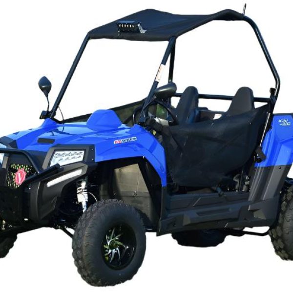 Blade 200U EFI UTV Side-by-Side, Electric Start, Automatic with Reverse, Ages 16 and up