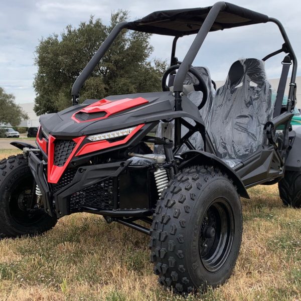 TrailMaster Cheetah 200 Full Size Buggy Go Kart, CVT Automatic with Reverse