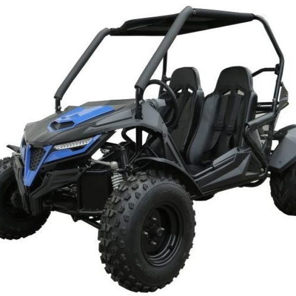 TrailMaster Cheetah 200 Full Size Buggy Go Kart, CVT Automatic with Reverse