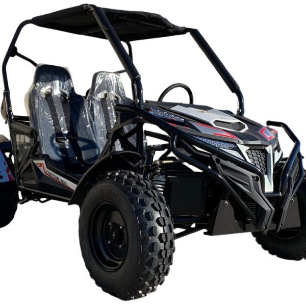 TrailMaster Cheetah 300E EFI UTV Go Kart, Liquid Cooled CVT Auto with Reverse
