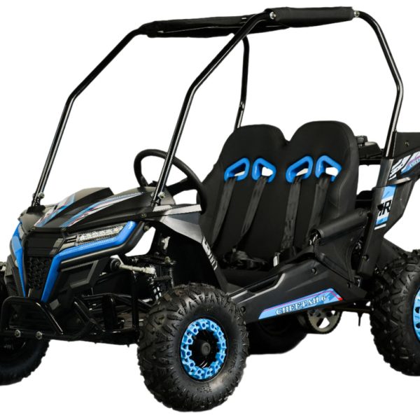 TrailMaster Cheetah-6 Go Kart, 5.5HP Electric Start, Reverse, Ages 4-9