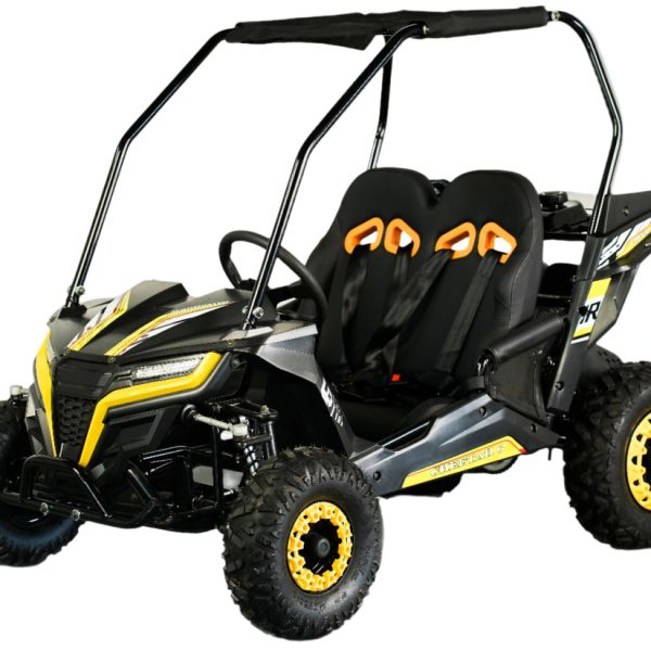 TrailMaster Cheetah-6 Go Kart, 5.5HP Electric Start, Reverse, Ages 4-9