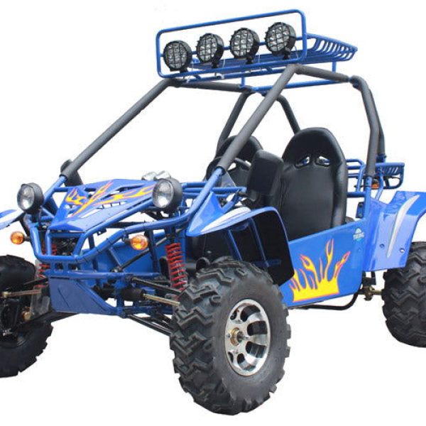 Commander 200 Buggy Go Kart, Electric Start, Automatic with Reverse, Ages 16 and up