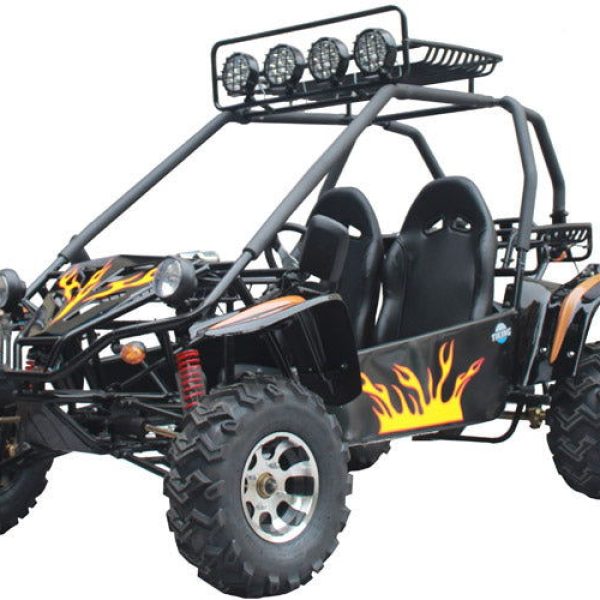 Commander 200 Buggy Go Kart, Electric Start, Automatic with Reverse, Ages 16 and up