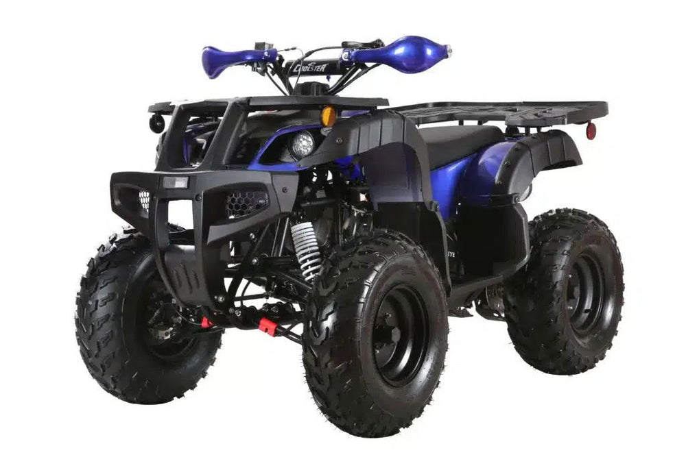 Coolster (3200U) 200cc Utility ATV, Electric Start, Automatic with Reverse, 10-inch Steel Wheels - Image 2