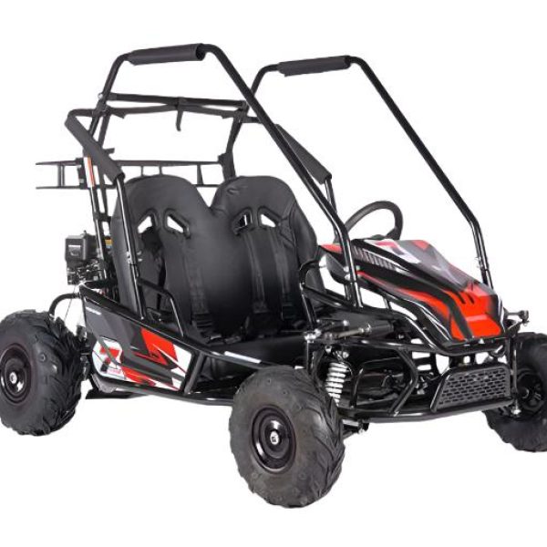 Interceptor XL Mid-size Go Kart, 7HP 4-Stroke, Automatic, Full Suspension