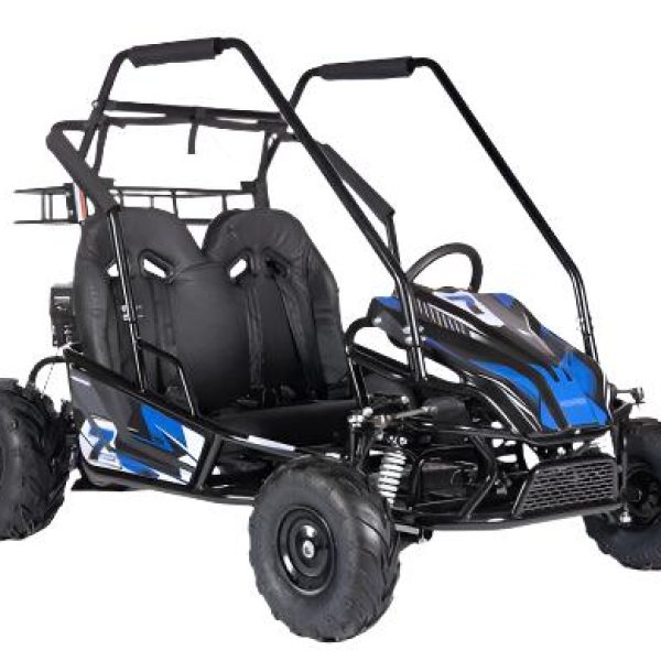 Interceptor XL Mid-size Go Kart, 7HP 4-Stroke, Automatic, Full Suspension