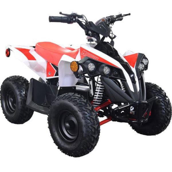 E-Bully Kids Electric ATV, 36v 1000w, Ages 10 and up