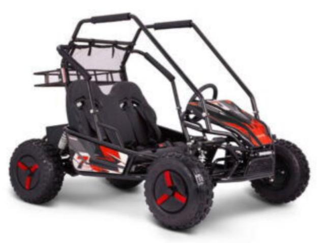 E-Moto Mid-Size Kids Go Kart, 60V 2500W, Automatic, Reverse, Ages 8+