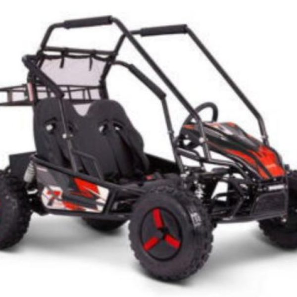 E-Moto Mid-Size Kids Go Kart, 60v 2500w, Automatic with Reverse, Ages 8 and up