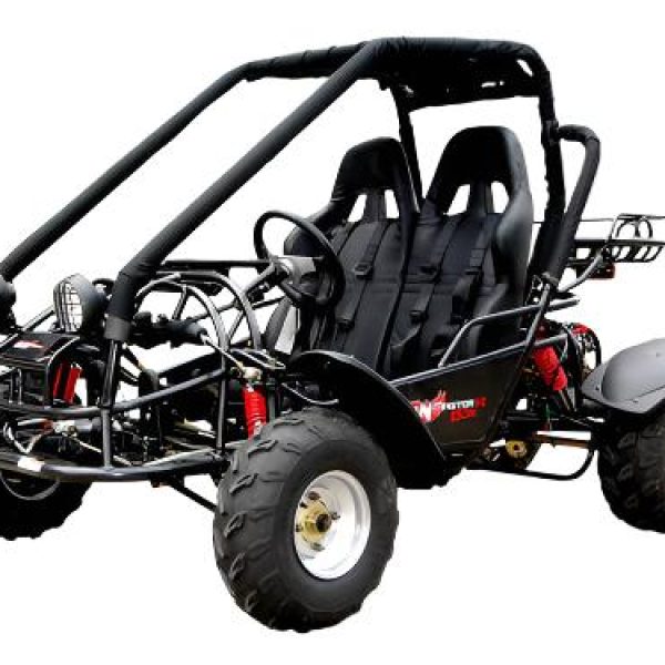 Explorer 150cc Buggy Go Kart, Electric Start, Automatic with Reverse, Ages 16 and up