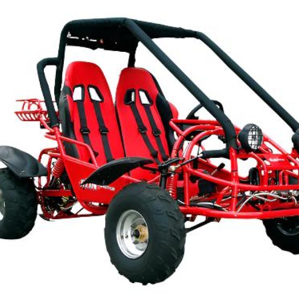 Explorer 150cc Buggy Go Kart, Electric Start, Automatic with Reverse, Ages 16 and up