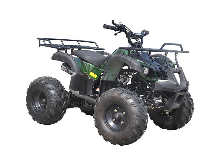 Hunter 125cc Kids Utility ATV, 8-inch Wheels, Automatic with Reverse, Ages 8 and up