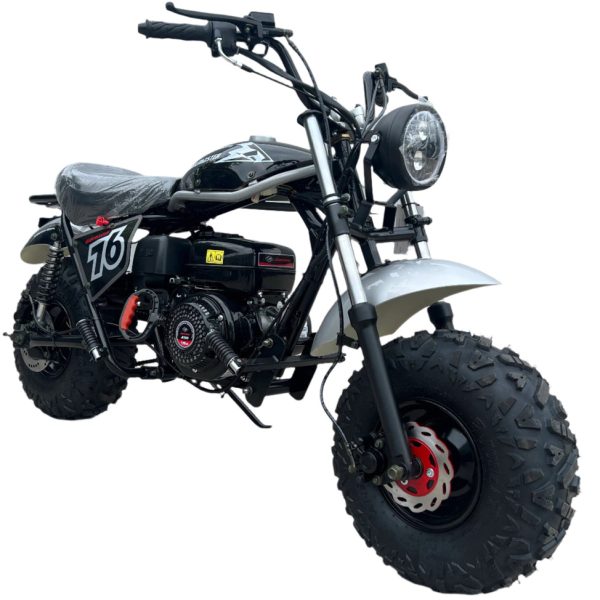 TrailMaster Hurricane 200 PRO Mini Bike, 196cc 6.5hp with Electric Start, Torque Converter, Dual Disc Brakes, Front & Rear Suspension, LED Headlight