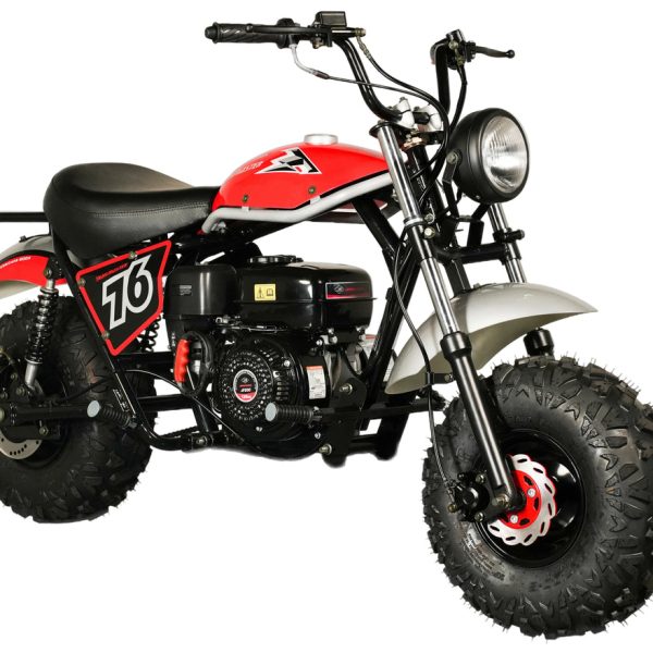 TrailMaster Hurricane 200X Mini Bike, 196cc 6.5 HP with Torque Converter, Dual Disc Brake, Front & Rear Suspension