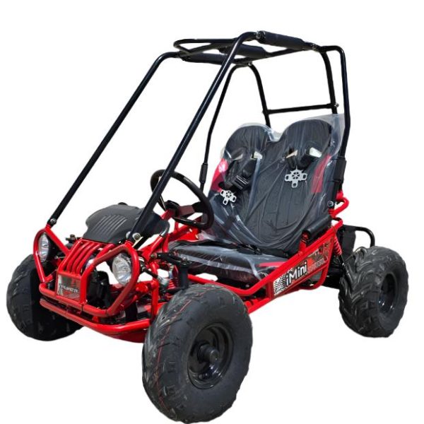 TrailMaster iMini Kids Electric Go Kart, Reverse, 48V, 2-Speed, Ages 4-9