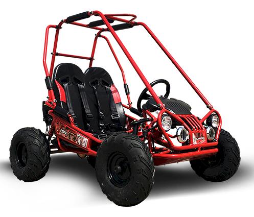 TrailMaster MINI XRX+ Kids GoKart, 5.5HP Gas, Electric & Remote Start, Ages 4-9
