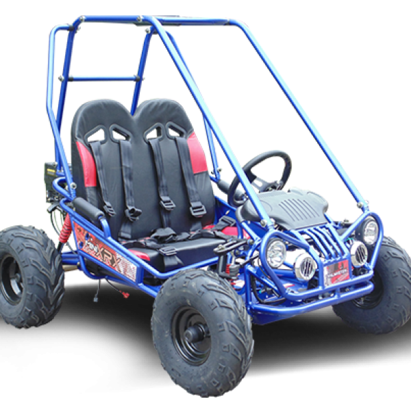 TrailMaster MINI XRX+ Kids GoKart, 5.5HP Gas, Electric & Remote Start, Ages 4-9