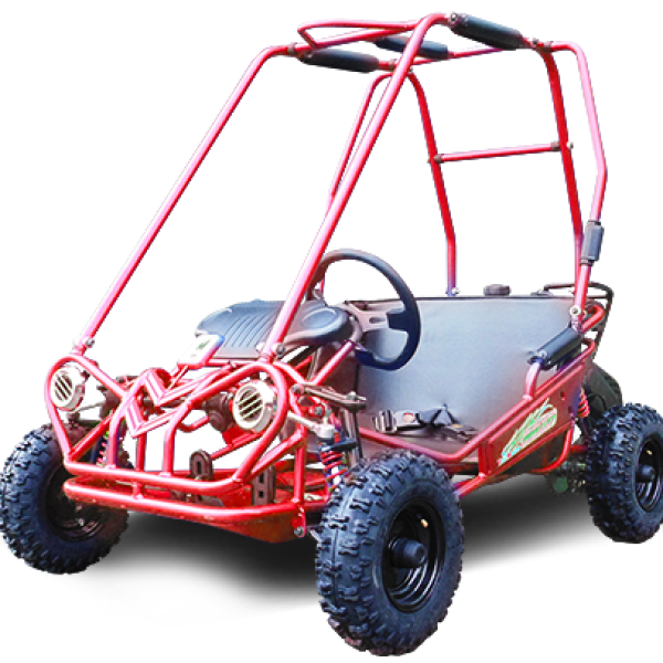 TrailMaster MINI XRS+ Kids Go Kart, 5.5HP Gas, Dual Seats, Adjustable Pedals