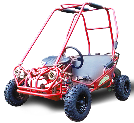 TrailMaster MINI XRS+ Kids Go Kart, 5.5HP Gas, Dual Seats, Adjustable Pedals