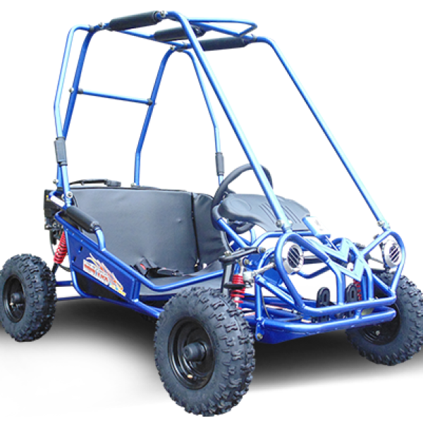TrailMaster MINI XRS+ Kids Go Kart, 5.5HP Gas, Dual Seats, Adjustable Pedals