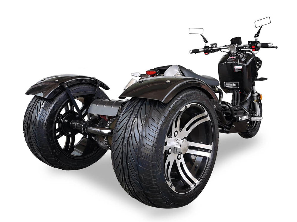 Maddog 150cc Street Trike, Automatic, Disc Brakes, 14 inch Aluminum Rear Wheels - Image 5