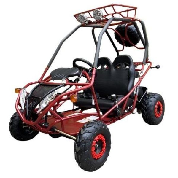 PGO 200GVA Kids Gas Go Kart, 196cc 6.5HP, Electric Start, Ages 7-12