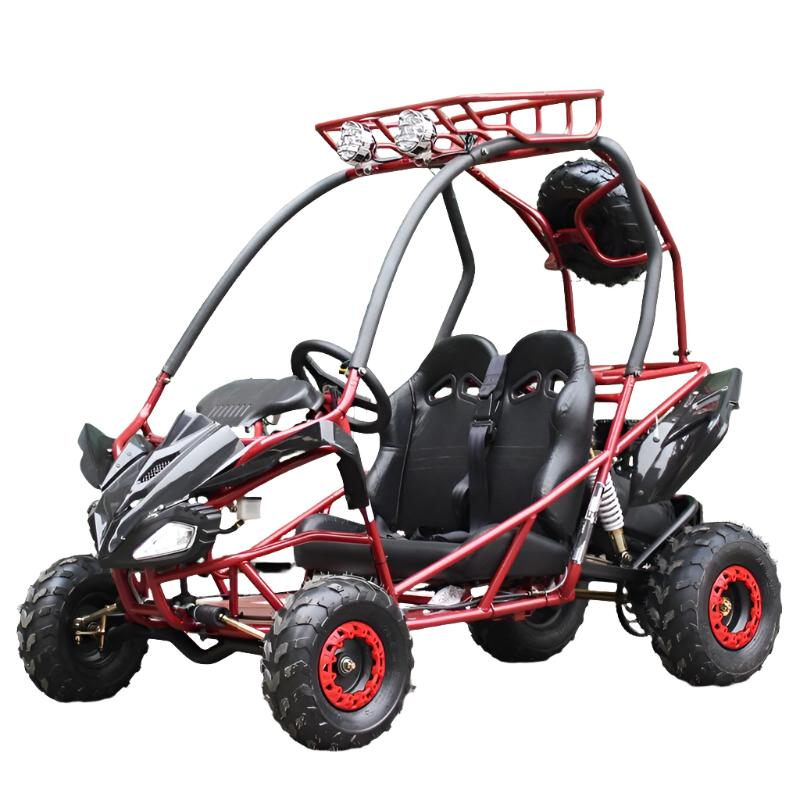 PGO 200GVS Kids Gas Go Kart, 196cc 6.5HP, Electric Start, Ages 8+