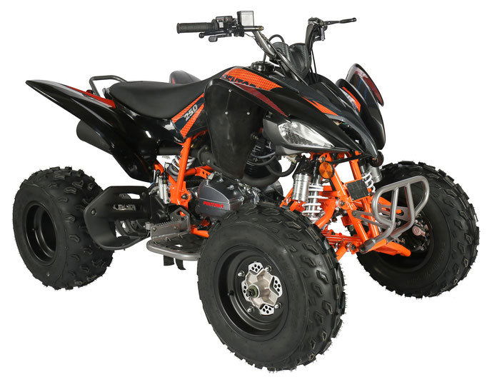 Pentora 250cc Sport ATV, 4-Speed Manual with Reverse - Image 4