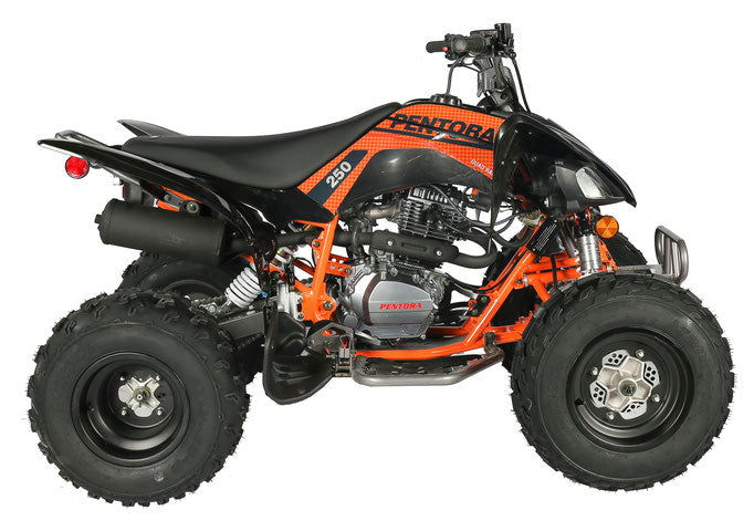 Pentora 250cc Sport ATV, 4-Speed Manual with Reverse - Image 5