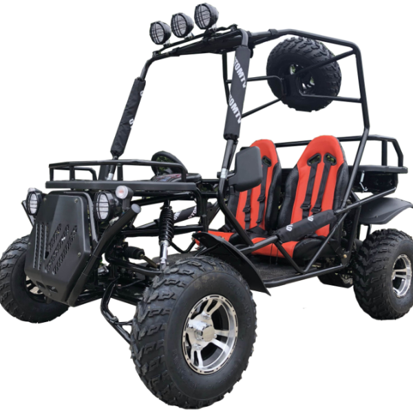 Rancher 200DLX Buggy Go Kart, Electric Start, Automatic with Reverse, 10-inch Deluxe Alloy Wheels, Ages 16 and up