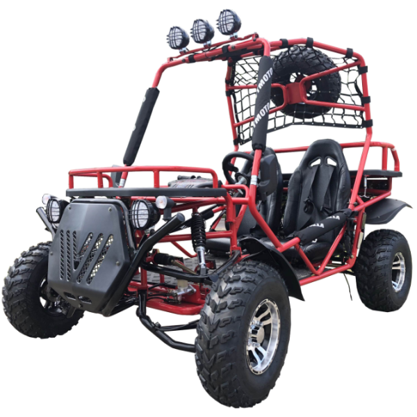 Rancher 200DLX Buggy Go Kart, Electric Start, Automatic with Reverse, 10-inch Deluxe Alloy Wheels, Ages 16 and up