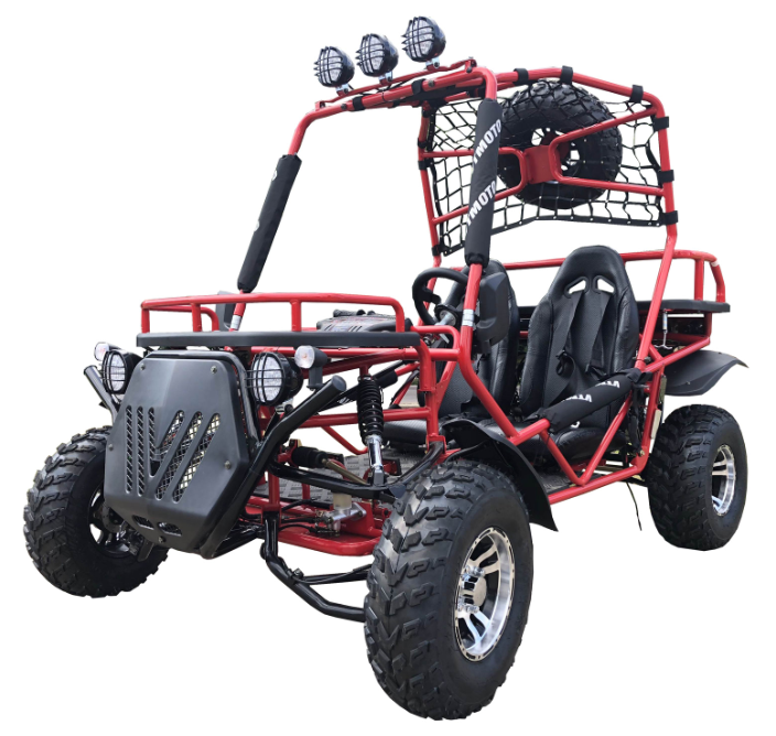 Rancher 200DLX Buggy Go Kart, Electric Start, Automatic with Reverse, 10-inch Deluxe Alloy Wheels, Ages 16 and up - Image 2