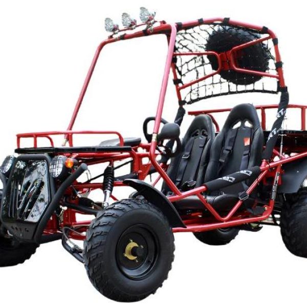 Rancher 200 Buggy Go Kart, Electric Start, Automatic with Reverse, 10-inch Steel Wheels, Ages 16 and up