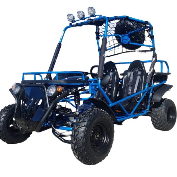 Rancher 200 Buggy Go Kart, Electric Start, Automatic with Reverse, 10-inch Steel Wheels, Ages 16 and up