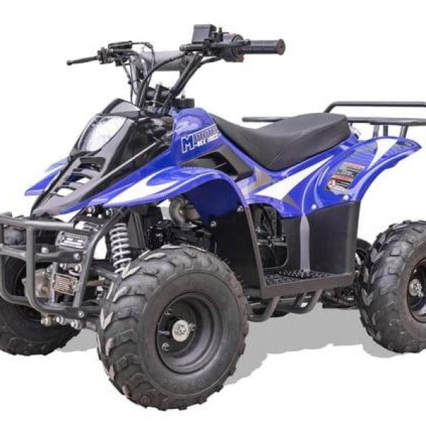 Rex Kids Gas ATV, 110cc 4-Stroke, Ages 4-9