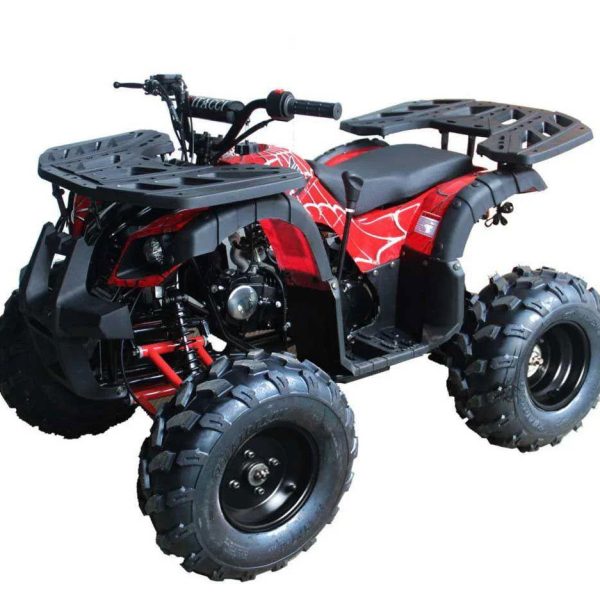 Rider 10 125cc Utility Style ATV, Auto with Reverse, Front Rack, Rear Rack, Deluxe front Bumper, Ages 12 and up