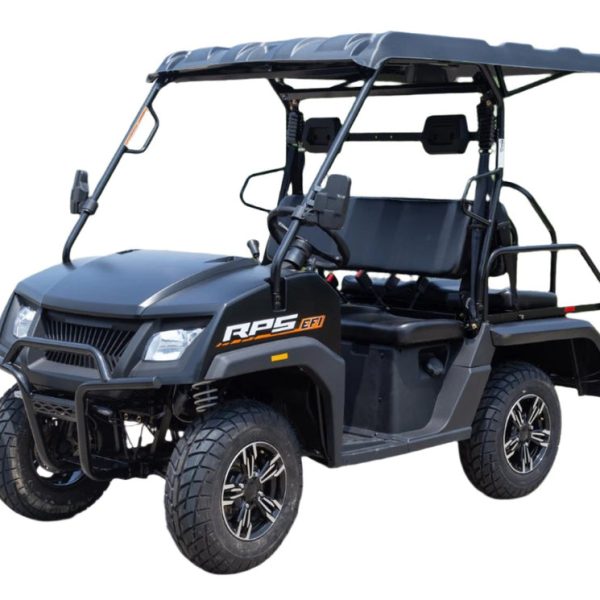 SSV 200 EFI Gas Golf Cart, Automatic with Reverse, Deluxe Alloy Wheels, Fully Assembled