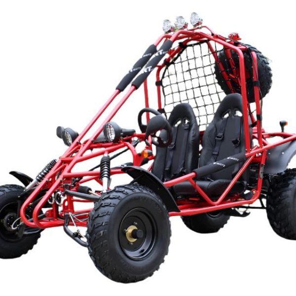 Spider 200 Buggy Go Kart, Electric Start, Automatic with Reverse, 10-inch Steel Wheels, Ages 16 and up