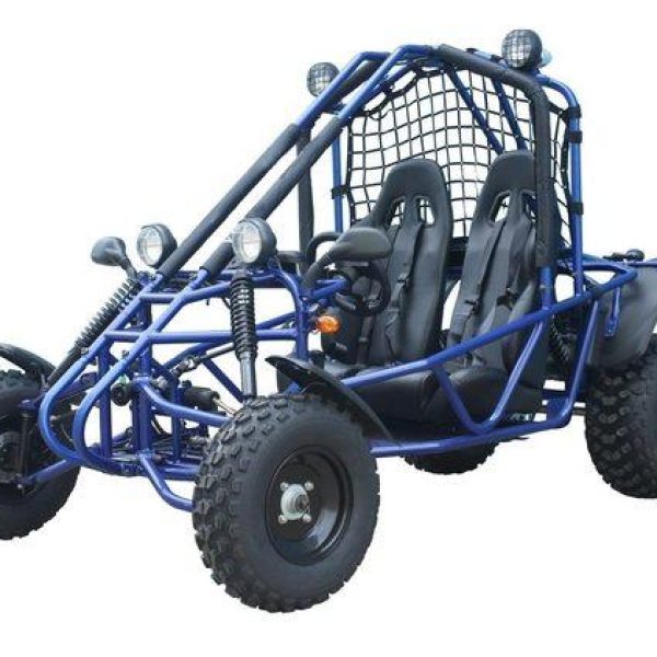 Spider 200 Buggy Go Kart, Electric Start, Automatic with Reverse, 10-inch Steel Wheels, Ages 16 and up