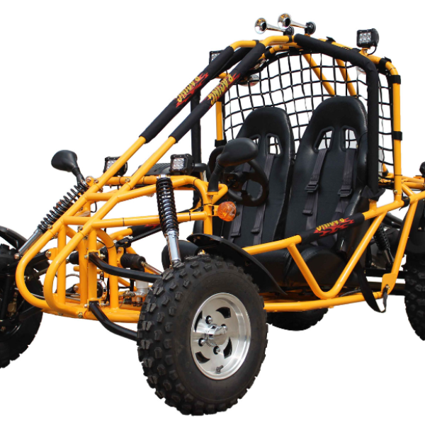 Spider 200 DLX Buggy Go Kart, Electric Start, Automatic with Reverse, 10-inch Alloy Wheels, Ages 16 and up