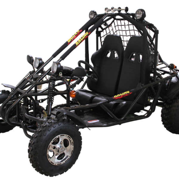 Spider 300 DLX EFI Buggy Go Kart, Electic Start, Automatic with Reverse, 10-inch Alloy Wheels, Ages 16 and up