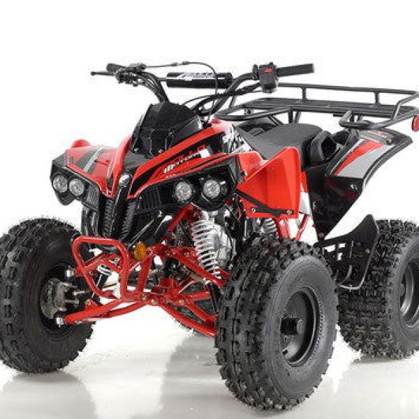 Sport Trax 125cc Sport ATV, Fully-Automatic with Reverse, Ages 12 and up
