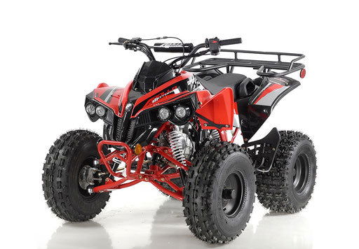 Sport Trax 125cc Sport ATV, Fully-Automatic with Reverse, Ages 12 and up