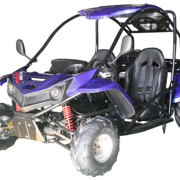 T-REX 125cc Kids Gas Go Kart, Electric Start, Automatic, Reverse, Ages 8+